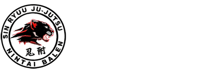 Nintai logo